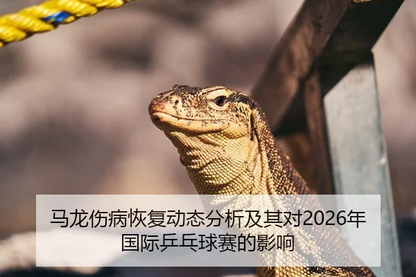 马龙伤病恢复动态分析及其对2026年国际乒乓球赛的影响