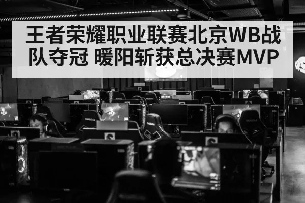 王者荣耀职业联赛北京WB战队夺冠 暖阳斩获总决赛MVP