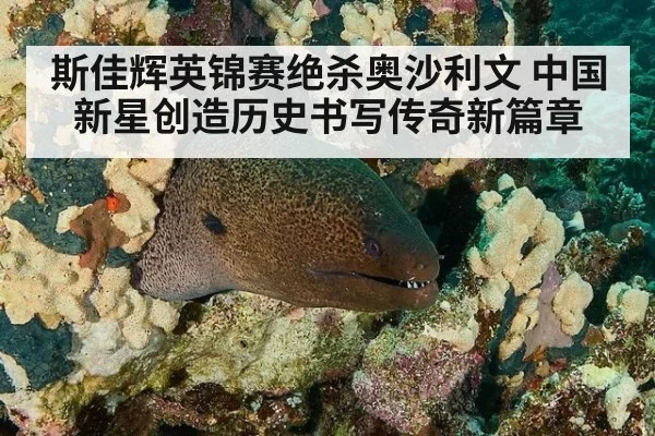 斯佳辉英锦赛绝杀奥沙利文 中国新星创造历史书写传奇新篇章