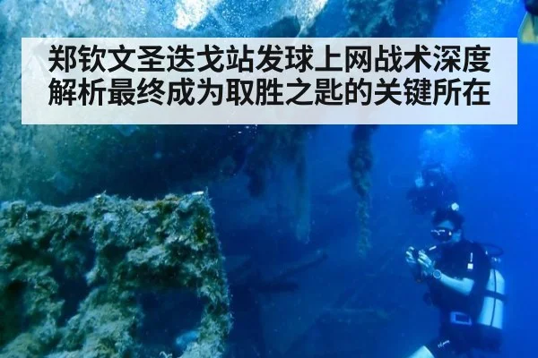 郑钦文圣迭戈站发球上网战术深度解析最终成为取胜之匙的关键所在